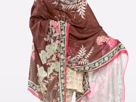 Multicolor Printed Ladies Shawl Online now